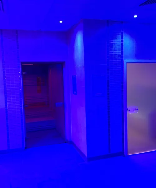Sauna and steam